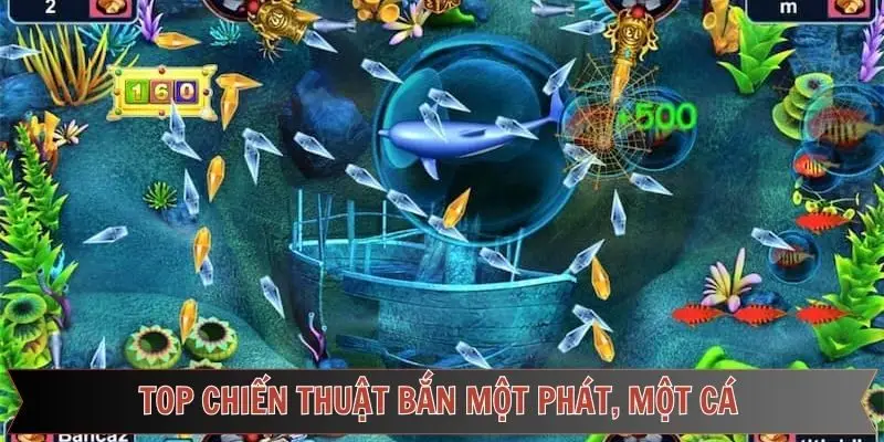 Chinh phục mẹo bắn một phát, một cá trúng lớn